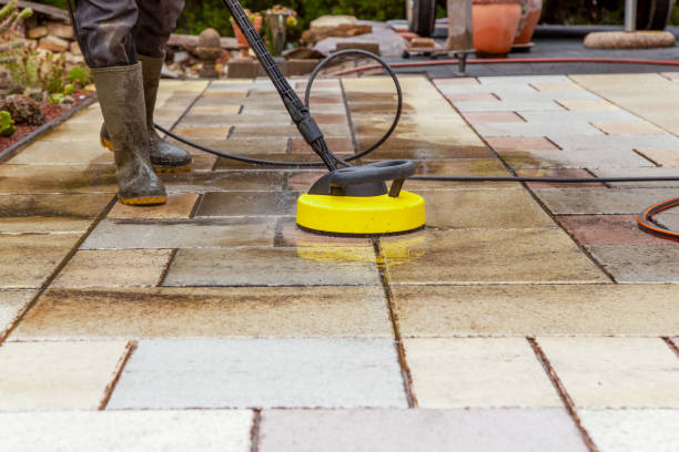 Best Solar Panel Cleaning  in Hermantown, MN
